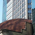 100_0213.jpg